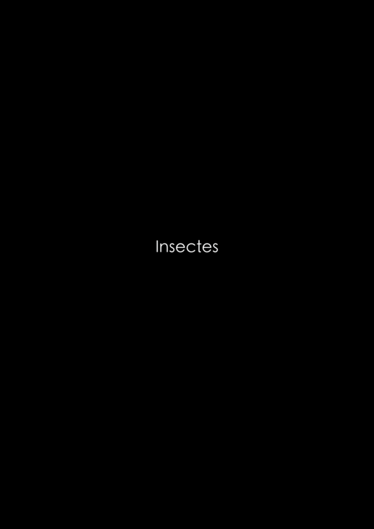 Affiche Insectes